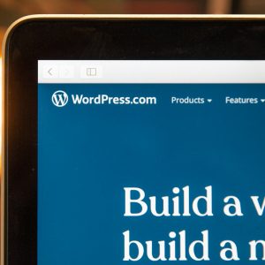 wordpress est-il un bon cms pour le seo